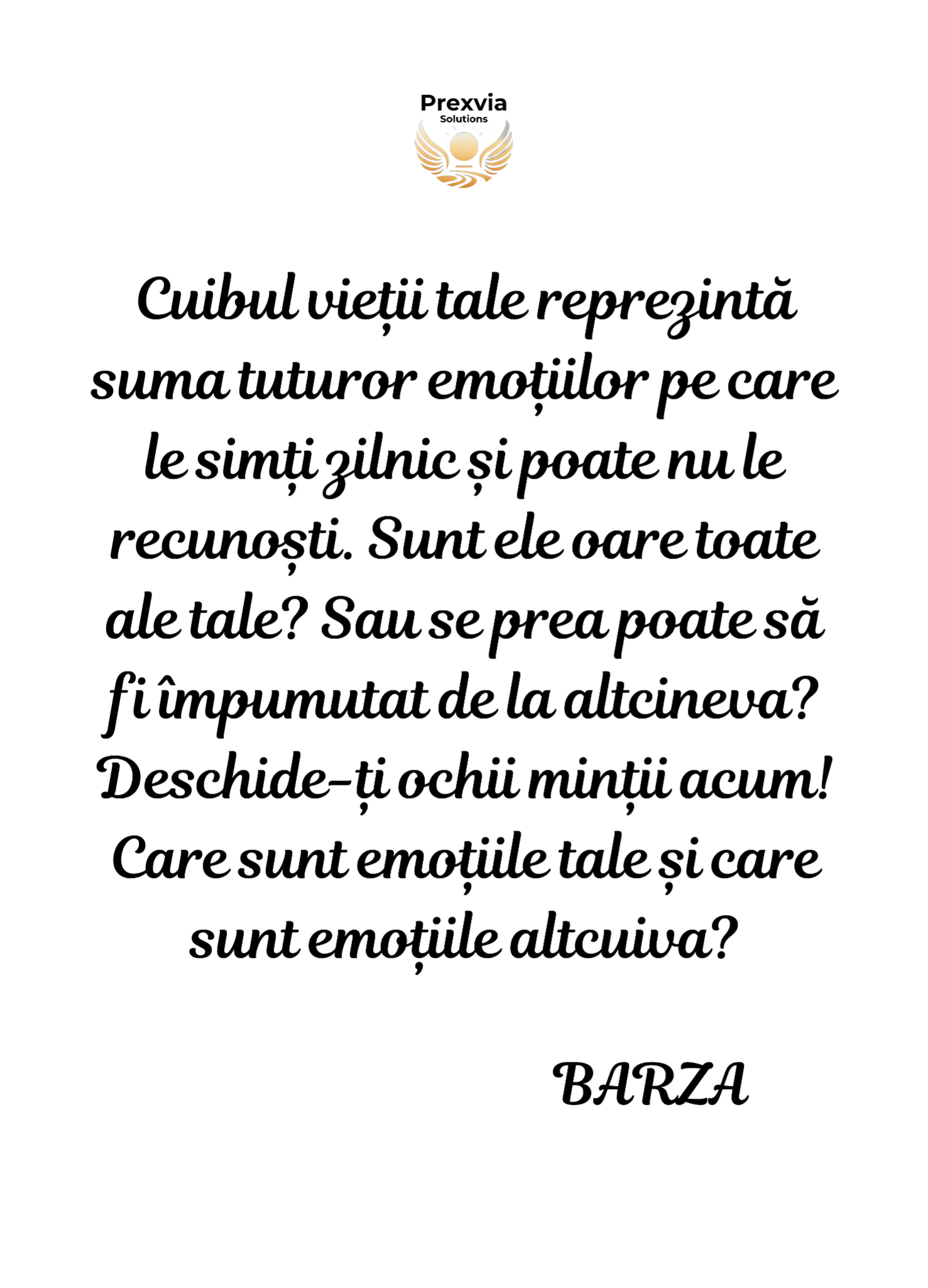 Mesajul Berzei 3
