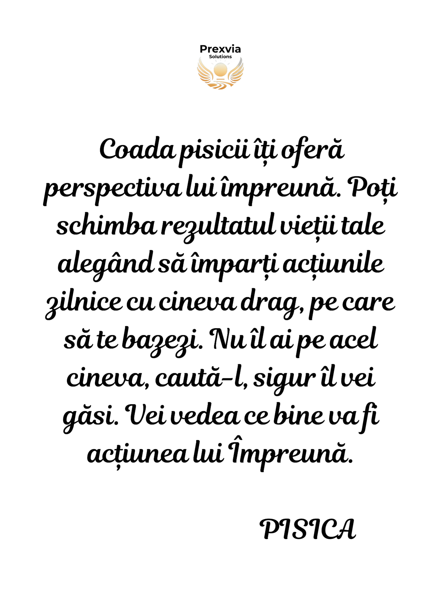 Mesajul Pisicii 1