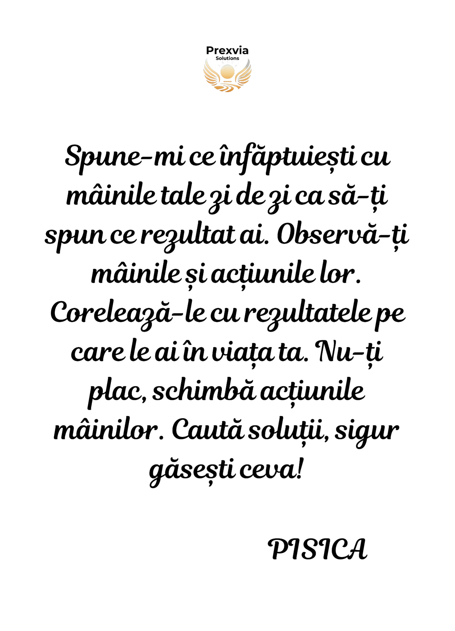 Mesajul Pisicii 2