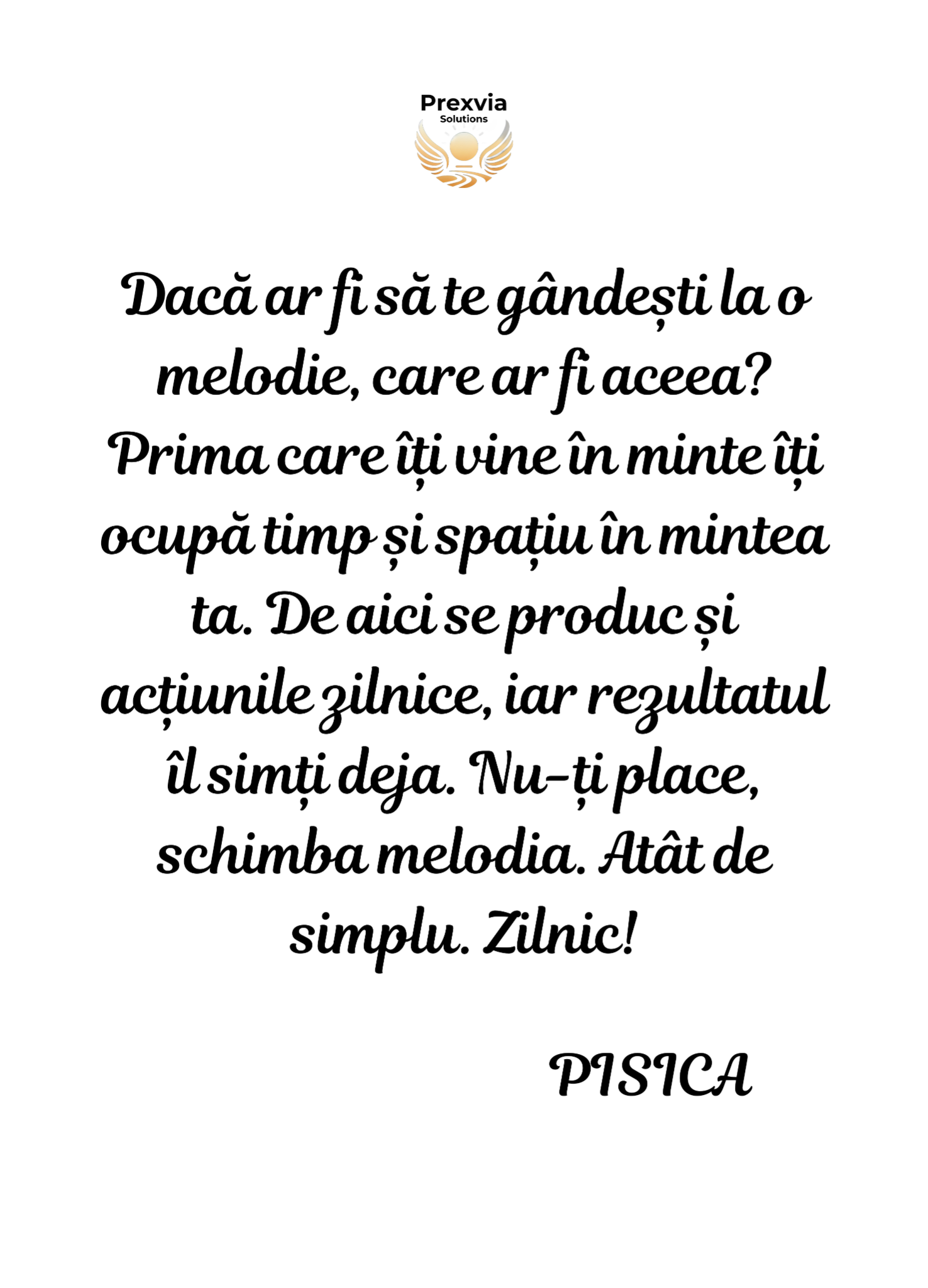 Mesajul Pisicii 3